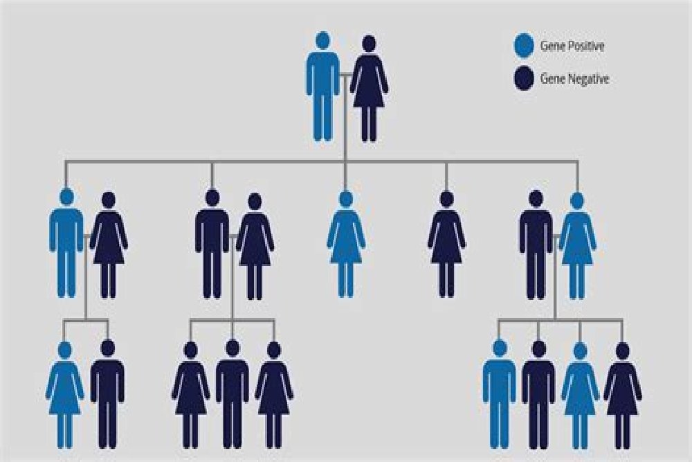 BAGGAGES OF ANCESTRY